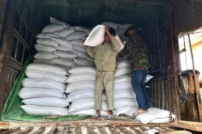 Xuất cấp hơn 1.374 tấn gạo dự trữ quốc gia hỗ trợ cho tỉnh Bình Định, Phú Yên