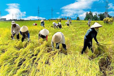 Đề xuất quy định mới về thành lập, tổ chức và hoạt động của Quỹ Hỗ trợ nông dân