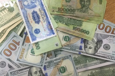 Kho bạc Nhà nước công bố tỷ giá hạch toán ngoại tệ tháng 10/2020