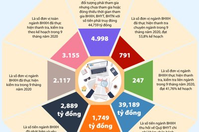 [Infographics] 9 tháng, ngành Bảo hiểm xã hội thanh tra đạt 59,09% kế hoạch