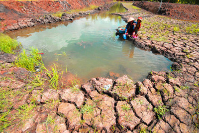 Biến đổi khí hậu và 5 nguy cơ đối với nông nghiệp Việt Nam