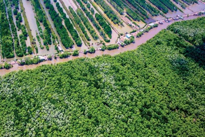 Tăng cường chính sách môi trường trong phát triển bền vững ở Việt Nam