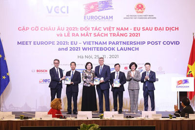  Chính phủ Việt Nam đang nỗ lực triển khai nhiều giải pháp tháo gỡ khó khăn cho doanh nghiệp
