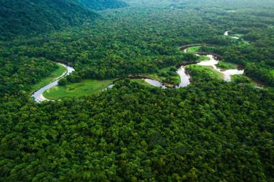 Bộ Tài nguyên và Môi trường: Tiếp tục triển khai thí điểm thương mại carbon rừng