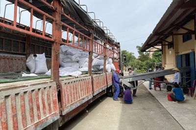 Xuất cấp 4.880,250 tấn gạo cho 3 tỉnh hỗ trợ người dân gặp khó khăn do COVID-19