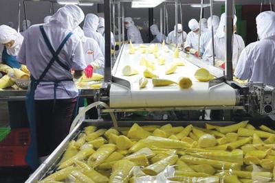 Nông sản, thực phẩm chế biến Việt Nam liên tục 'ghi dấu' trên bản đồ xuất khẩu