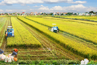 Một số vấn đề về thu hút đầu tư phát triển nông nghiệp ở Việt Nam
