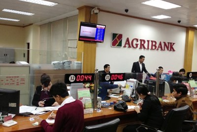 Nhân tố ảnh hưởng đến sự hài lòng của khách hàng với dịch vụ thẻ tại Agribank Kiên Giang