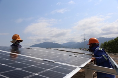[Video] Cánh đồng điện mặt trời lớn nhất Việt Nam sắp hoạt động