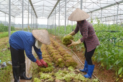 Nhiều rào cản trong đầu tư vào nông nghiệp