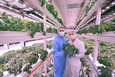 Khuyến khích doanh nghiệp đầu tư nông nghiệp công nghệ cao