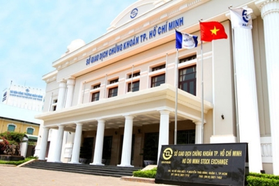 Sở Giao dịch chứng khoán TP. Hồ Chí Minh lãi xấp xỉ 200 tỷ