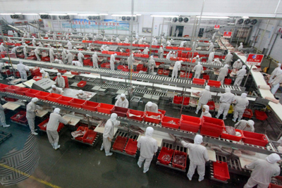 [Video] Những nhà máy thực phẩm khổng lồ của Trung Quốc