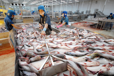 Rủi ro trong xuất khẩu thủy sản sang Trung Quốc và vấn đề đặt ra