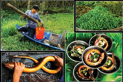 Chùm ảnh kỳ thú về đất mũi Cà Mau