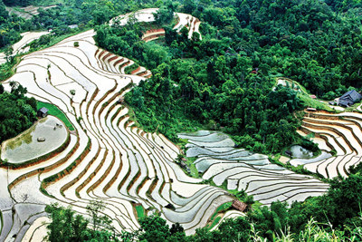 Chiêm ngưỡng ruộng bậc thang với những sắc màu độc đáo