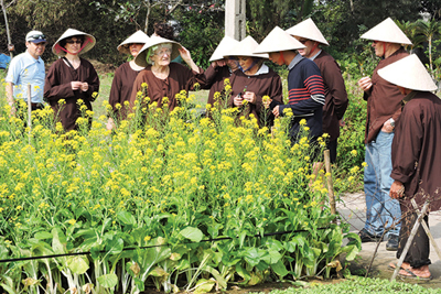 Đưa vườn rau vào bản đồ du lịch
