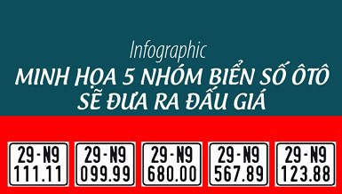 [Infographic] Nhóm biển số ôtô sẽ đưa ra đấu giá sẽ như thế nào?