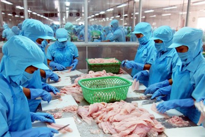 Giải pháp phát triển bền vững ngành thủy sản Việt Nam