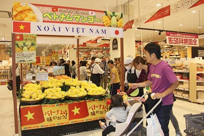 Doanh nghiệp tham gia mạng phân phối nước ngoài: Giải pháp phải đồng bộ