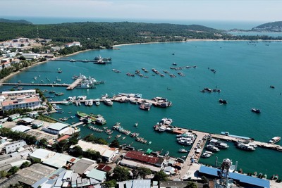 Cân nhắc hơn về chính sách đất, nhà và nguồn thu ngân sách nhà nước tại các đặc khu kinh tế