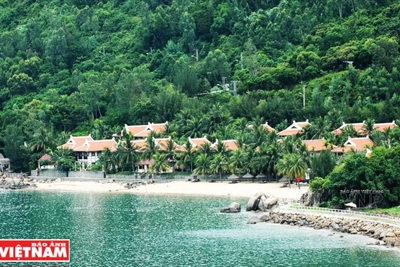 Bãi Rạng – Bản hoà ca của rừng và biển
