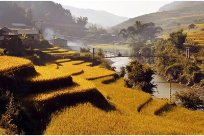 Mùa vàng Mù Cang Chải