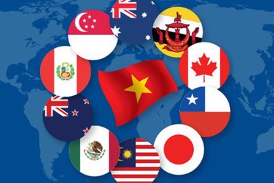 [Infographic] CPTPP - “điểm sáng” của thương mại toàn cầu