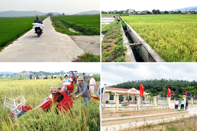 Phát triển bền vững thị trường tín dụng nông thôn