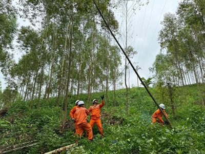 Tổng công ty Điện lực miền Bắc sẵn sàng các phương án đảm bảo cung cấp điện dịp nghỉ lễ Quốc khánh