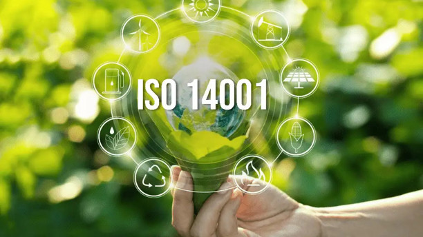 Vì sao các doanh nghiệp cần áp dụng hệ thống quản lý môi trường ISO 14001?