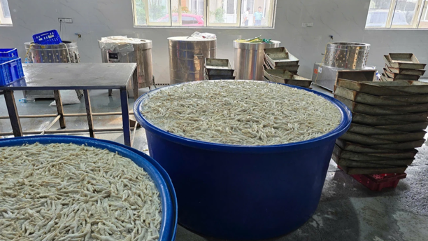 Phát hiện hơn 13 tấn chân gà ngâm hóa chất chuẩn bị tuồn ra thị trường Phát hiện hơn 13 tấn chân gà ngâm hóa chất chuẩn bị tuồn ra thị trường