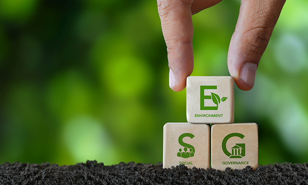 Lợi ích ESG đối với doanh nghiệp trong nền kinh tế số