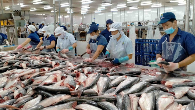 8 doanh nghiệp cá tra Việt Nam hưởng thuế chống bán phá giá 0% tại Mỹ