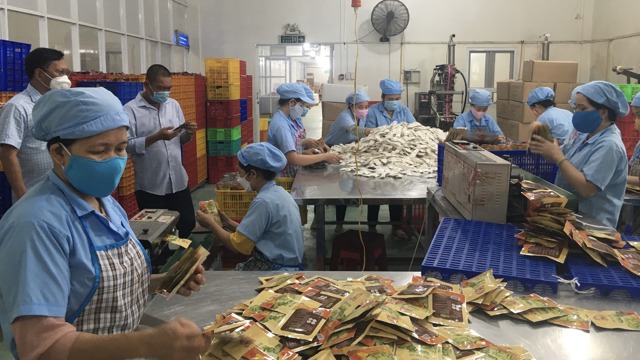 Vĩnh Long: Không yêu cầu doanh nghiệp thay đổi thông tin do đổi địa giới hành chính