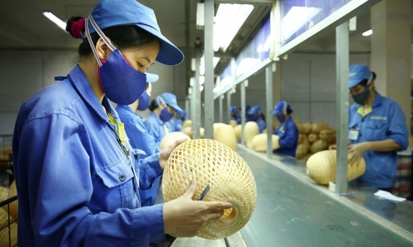 Phân tích năng lực đổi mới sinh thái của các doanh nghiệp nhỏ và vừa tại thị trường Việt Nam