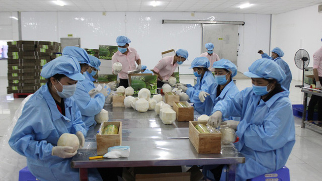 Xuất khẩu rau quả Việt Nam hướng đến mục tiêu 10 tỷ USD vào năm 2030