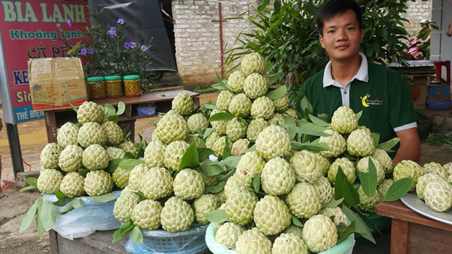 Đi tìm lời giải cho việc nông sản Việt chưa được quan tâm đăng ký bảo hộ