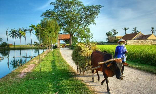 Bàn về phát huy hiệu quả tín dụng đối với nông nghiệp, nông thôn 