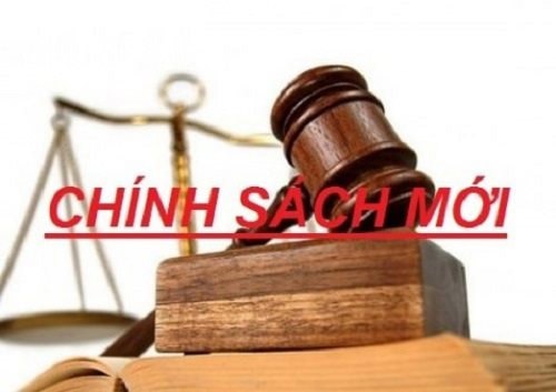 Cập nhật chính sách tài chính mới nhất tháng 2/2025: Phân tích và tác động