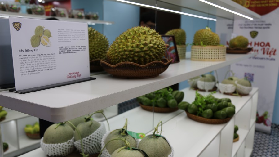 Giới thiệu, quảng bá, thúc đẩy phát triển “Tinh hoa trái cây bongdaso”