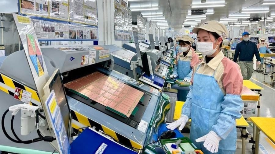 INFOGRAPHIC: Bức tranh doanh nghiệp Việt Nam trong 7 tháng đầu năm 2025