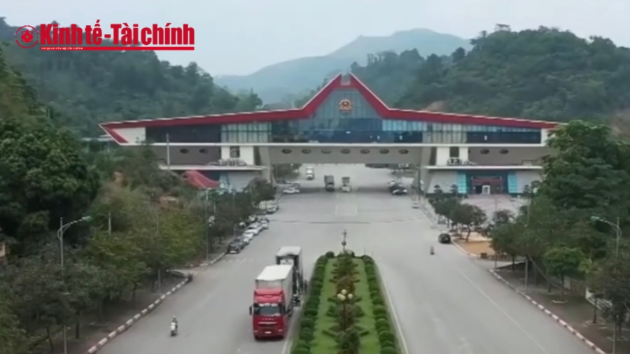 VIDEO: Nhập khẩu từ Trung Quốc tăng mạnh, chiếm hơn 40% tổng kim ngạch