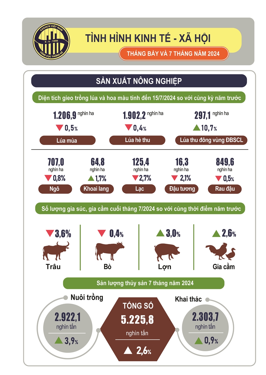 Tình hình kinh tế - xã hội tháng 7 và 7 tháng năm 2024 - Ảnh 1