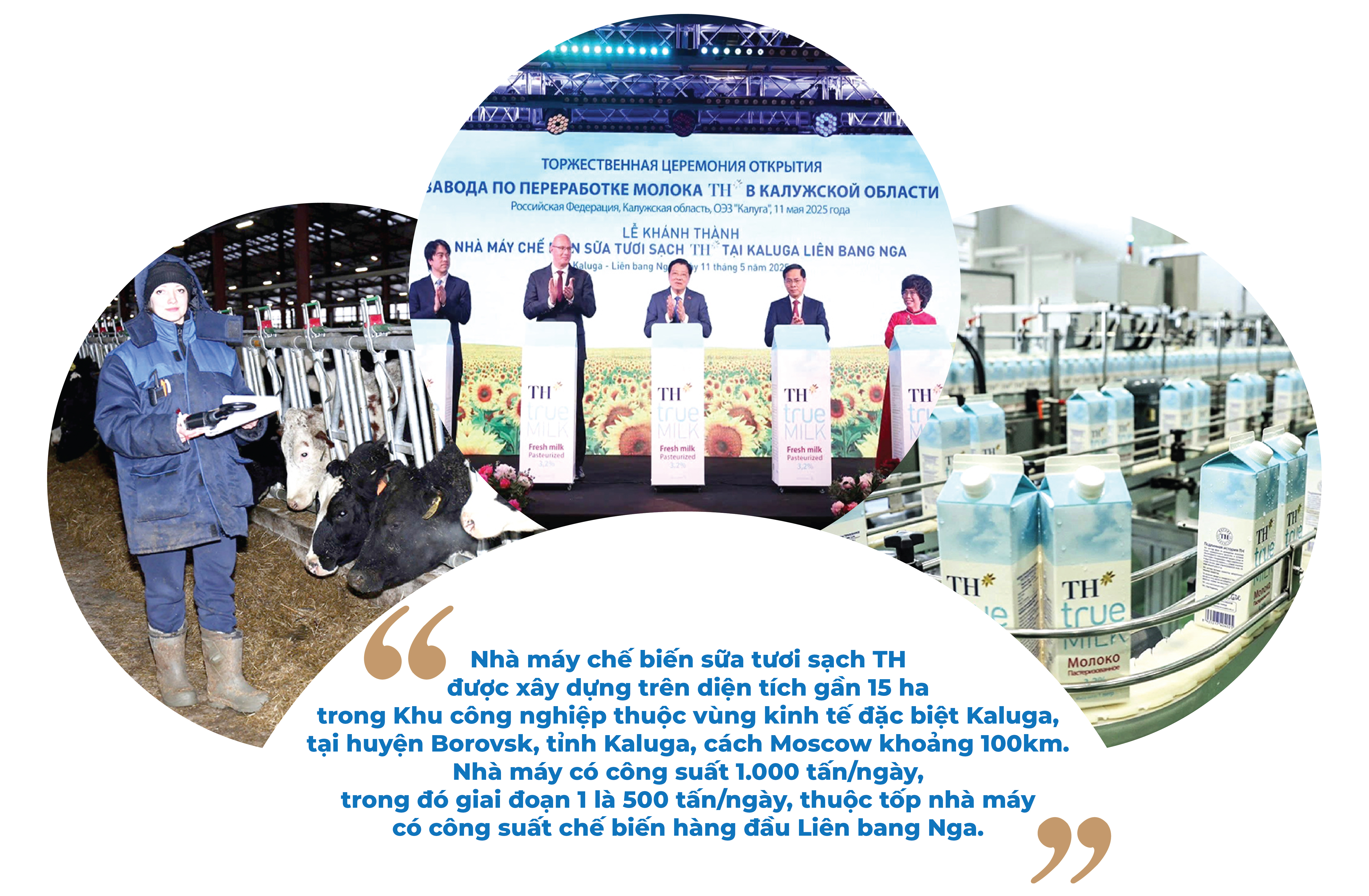 LONGFORM: Nghị quyết số 68-NQ/TW tiếp sức kinh tế tư nhân sải cánh vươn mình bongdaso tin tức kỷ nguyên mới - Ảnh 3