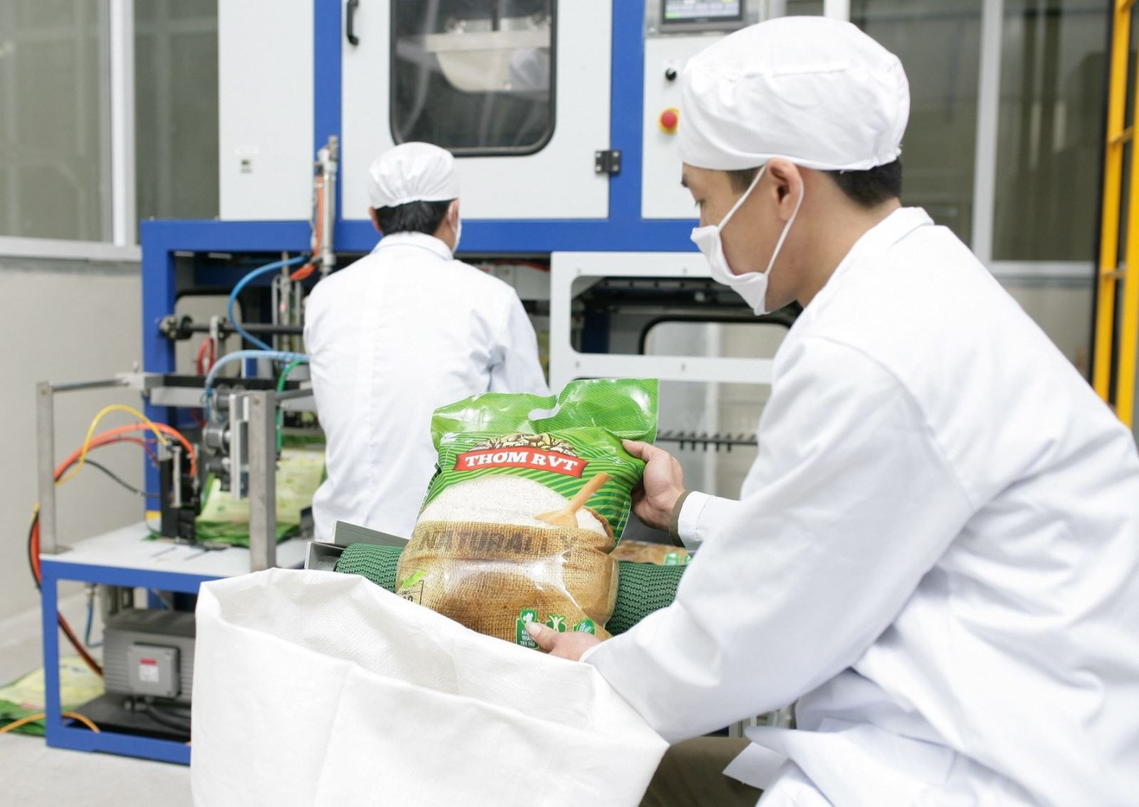 Doanh nghiệp ngành gạo có thêm nhiều cơ hội để phát triển!