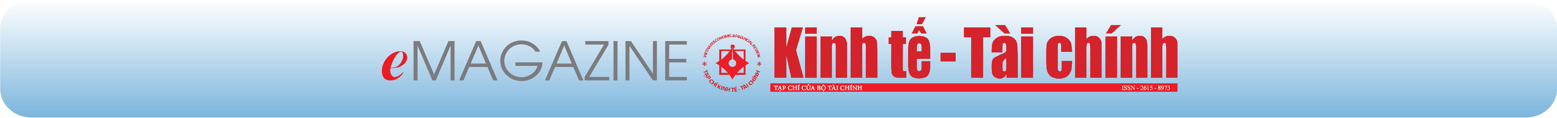 EMAGAZINE: Chuyển đổi số và cải cách thuế, góp phần hoàn thành mục tiêu tăng trưởng - Ảnh 14