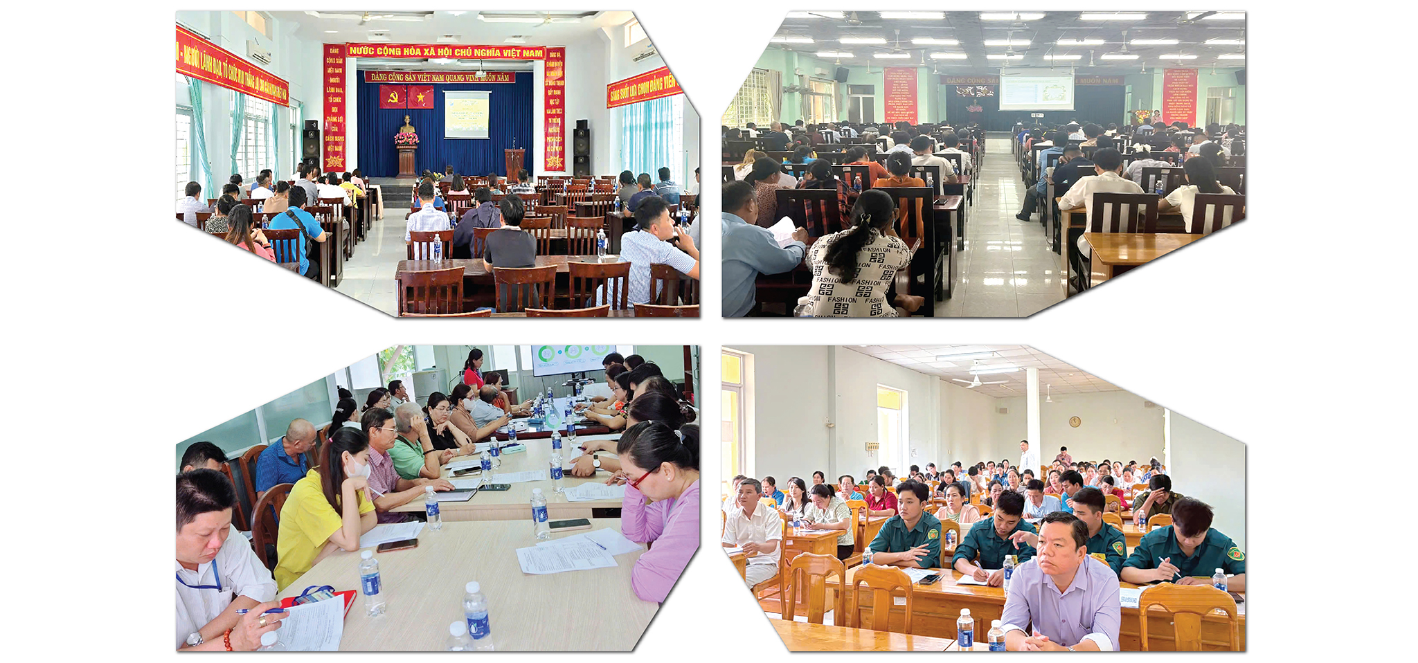 EMAGAZINE: Thành phố Hồ Chí Minh phấn đấu hoàn thành sớm Tổng điều tra nông nghiệp, nông thôn năm 2025 - Ảnh 4