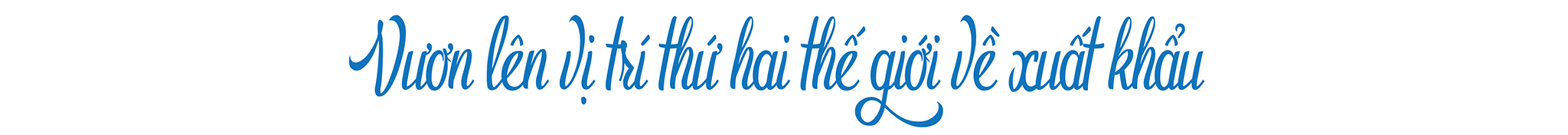 EMAGAZINE: Gạo Việt Nam vươn lên vị trí số 2 thế giới: Hành trình từ đồng ruộng đến bàn ăn toàn cầu - Ảnh 2