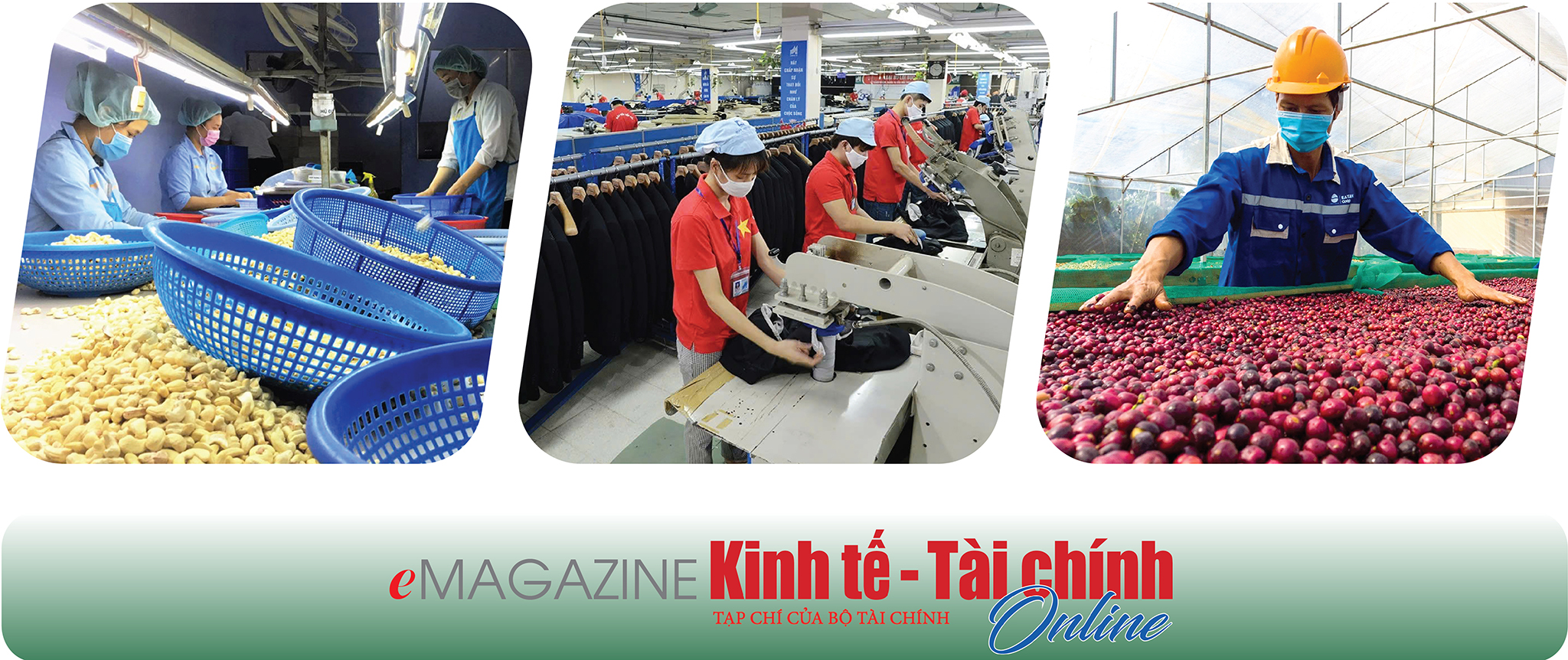 EMAGAZINE: Đưa “con tàu” xuất khẩu tăng tốc vượt sóng, “về đích” mục tiêu tăng trưởng 12% - Ảnh 8